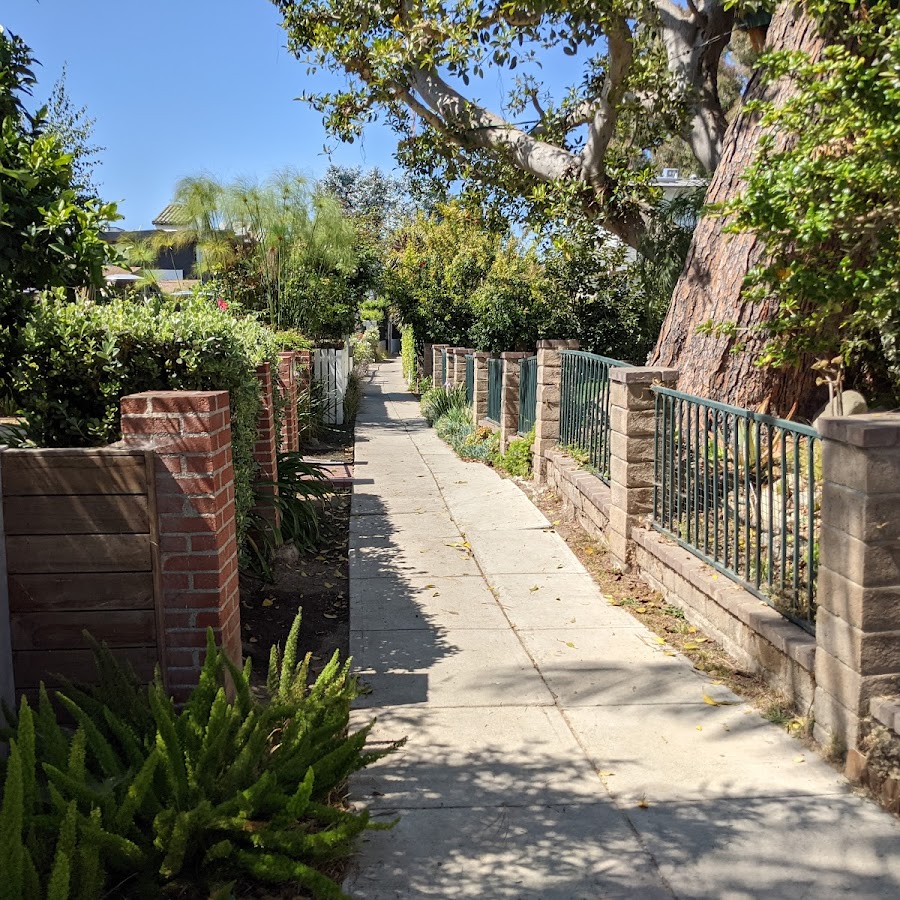 Venice Walk Street