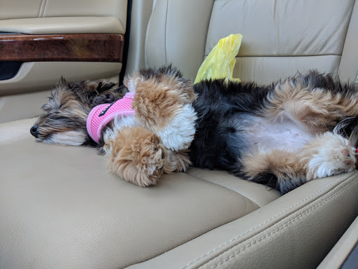 Produce Market «ShopRite of Millburn», reviews and photos, 220 Main St, Millburn, NJ 07041, USA