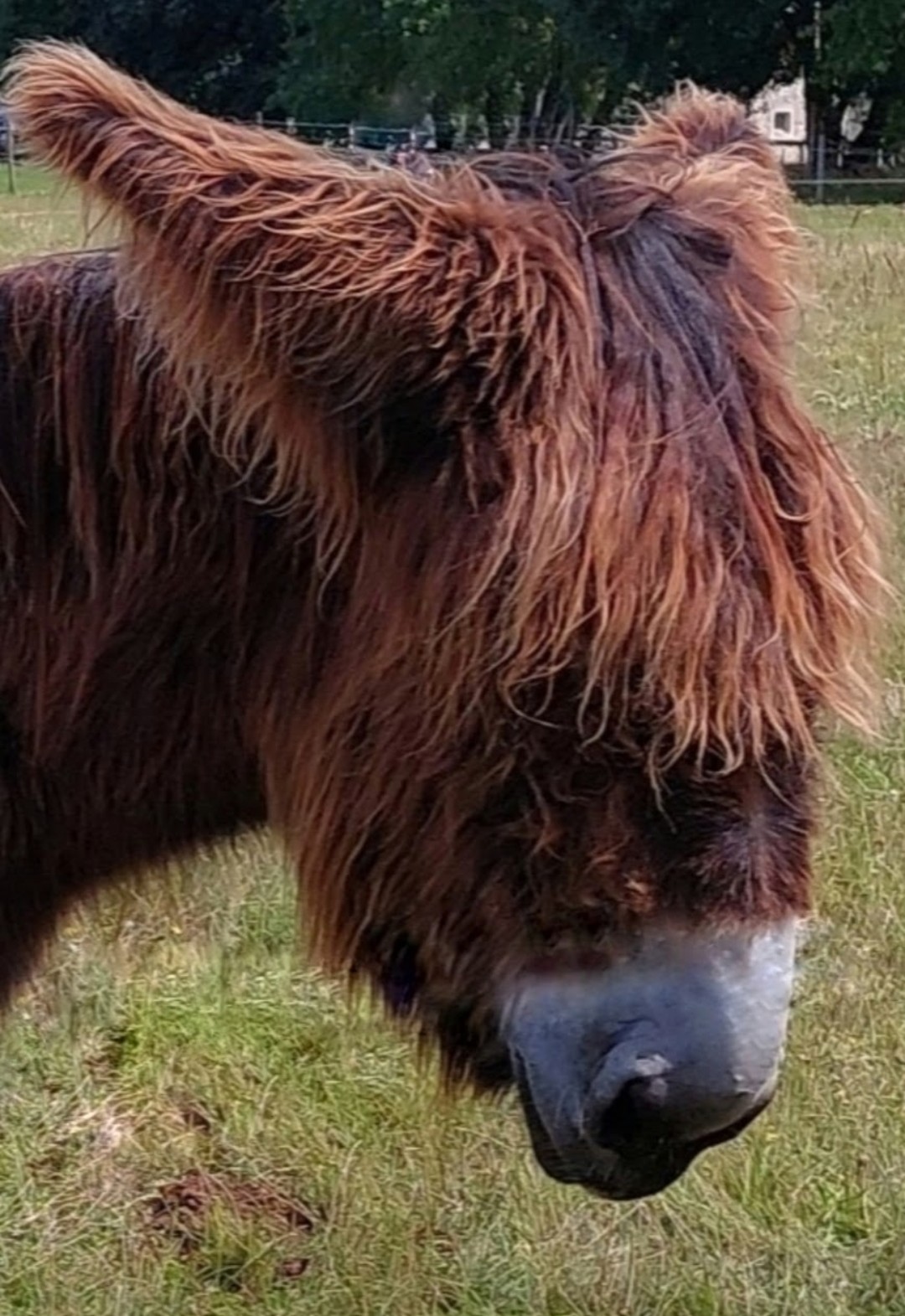 Photo n° 7 de l'avis de Sylvie.A fait le 12/09/2021 à 14:54