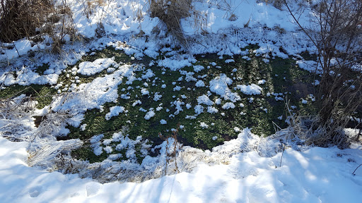 Park «Valley View Park», reviews and photos, 5575 Ozark Avenue North, Oak Park Heights, MN 55082, USA