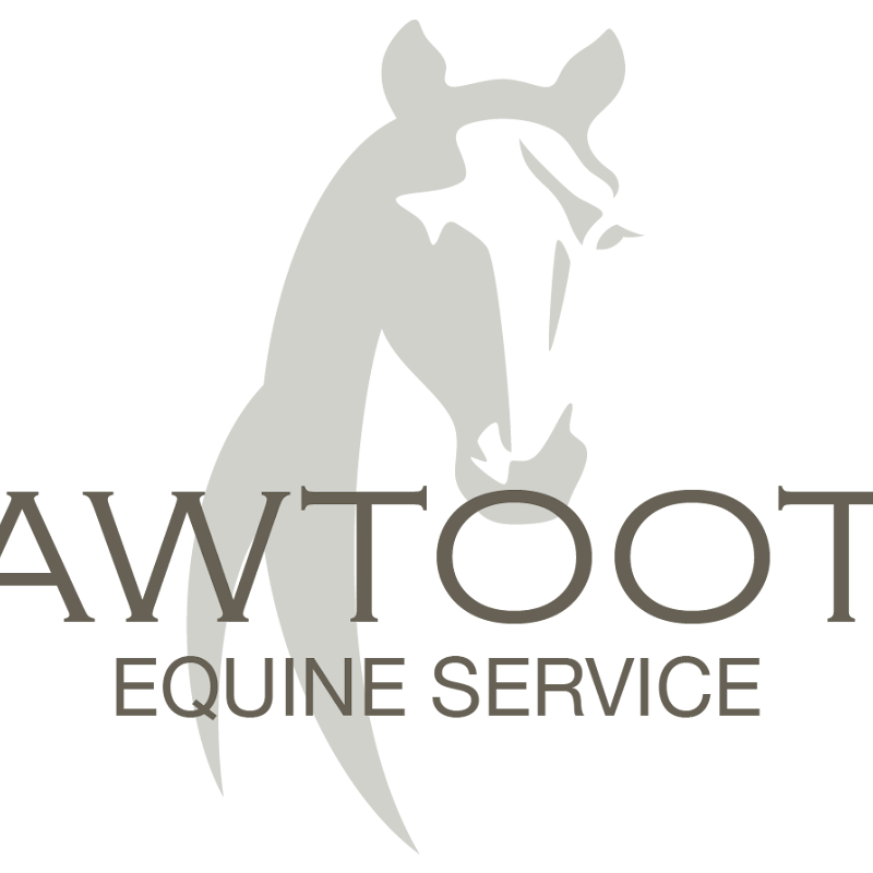 Sawtooth Equine Services