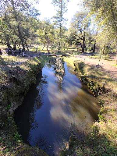 National Forest «Petrified Forest», reviews and photos