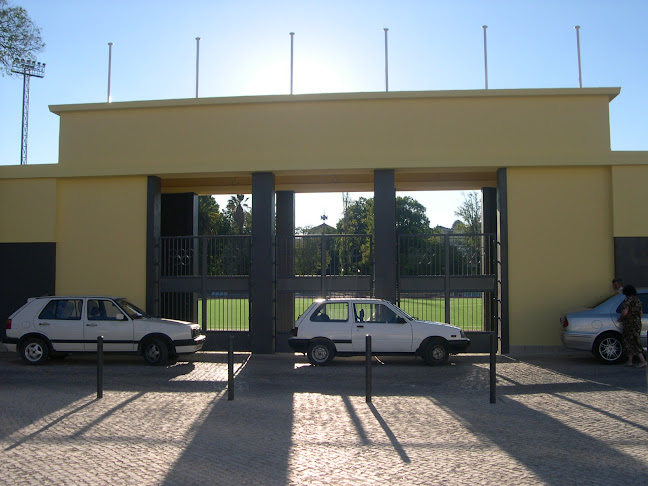 Avaliações doEstádio Municipal António Fortes (Totói) em Tomar - Campo de futebol