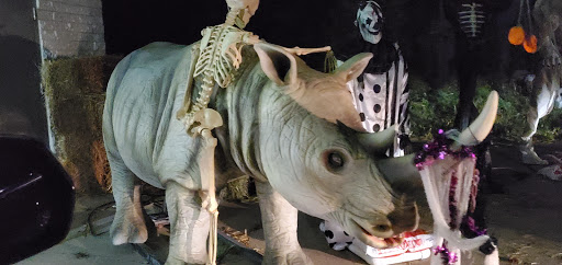 Car Wash «Rainforest Car Wash», reviews and photos, 3365 Center Rd, Brunswick, OH 44212, USA