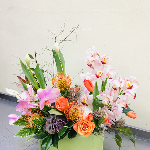 Florist «Orchid Florist», reviews and photos, 1768 Solano Ave, Berkeley, CA 94707, USA