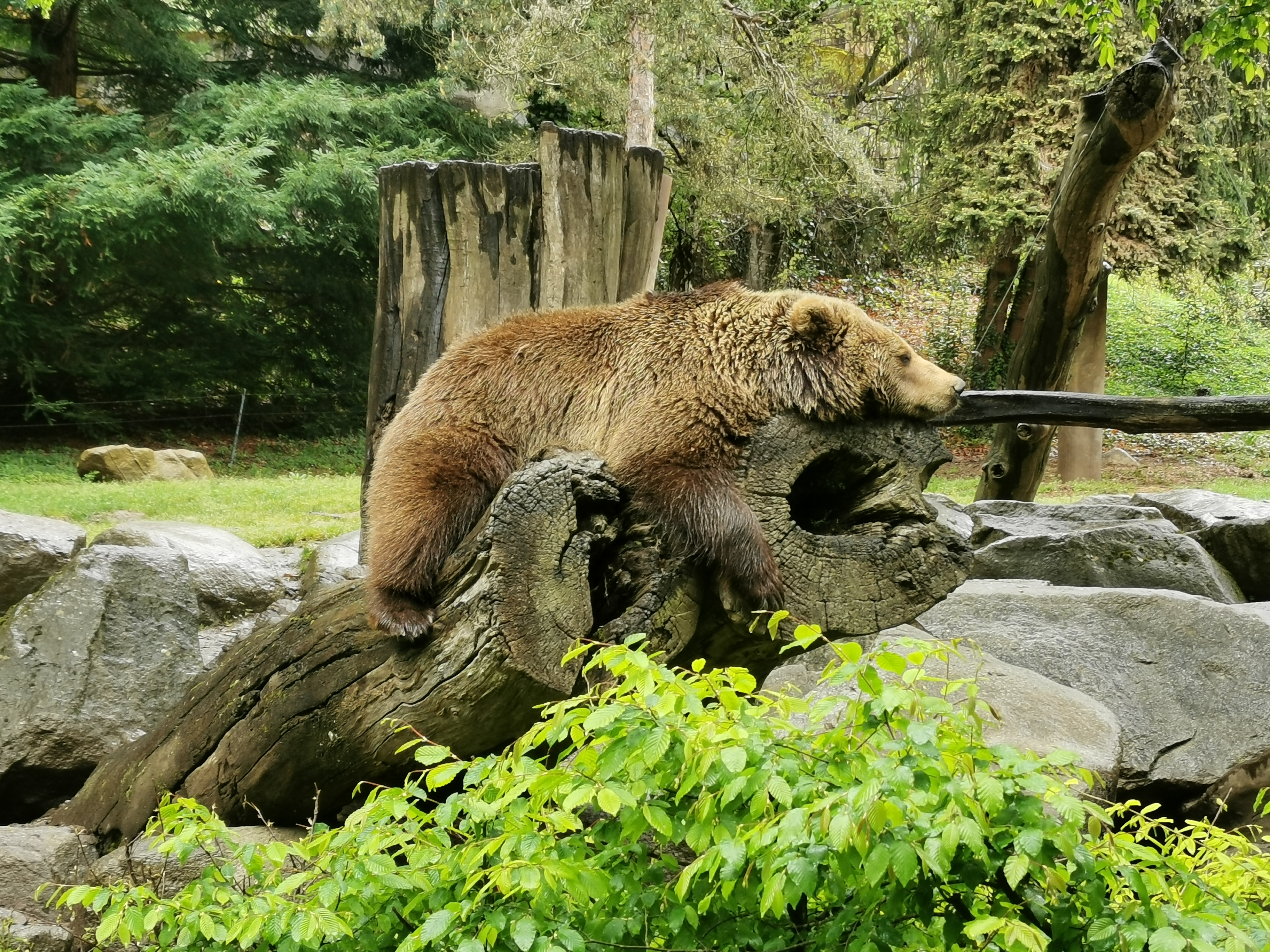 Photo n° 5 de l'avis de Alice-mae.o fait le 25/04/2023 à 14:00