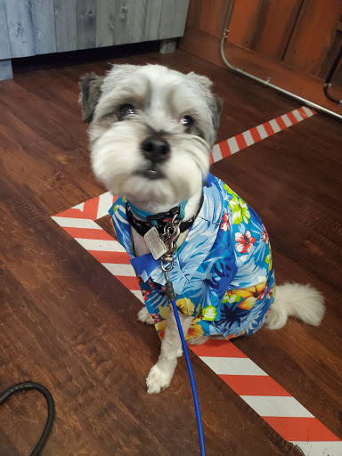 Pet Supply Store «EarthWise Pet Supply East Village», reviews and photos, 1051 Market St, San Diego, CA 92101, USA