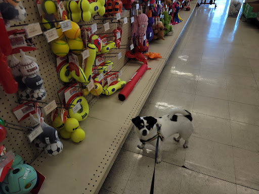 Pet Supply Store «Concord Pet Foods & Supplies», reviews and photos, 19287 Miller Rd, Rehoboth Beach, DE 19971, USA