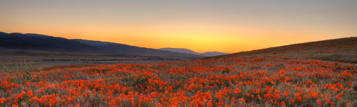 Funeral Home «Cochrane & Wagemann, Funeral Directors», reviews and photos, 103 Lincoln St, Roseville, CA 95678, USA