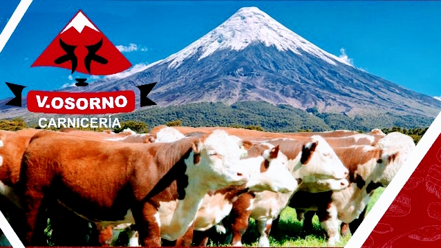 Carnicería Volcan Osorno - La Serena