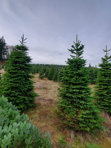 Gift Shop «Sleighbells Of Sherwood (Seasonal Business Open July1-December 23)», reviews and photos, 23855 SW 195th Pl, Sherwood, OR 97140, USA