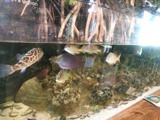 Aquarium «The River Center», reviews and photos, 805 US-1, Jupiter, FL 33477, USA