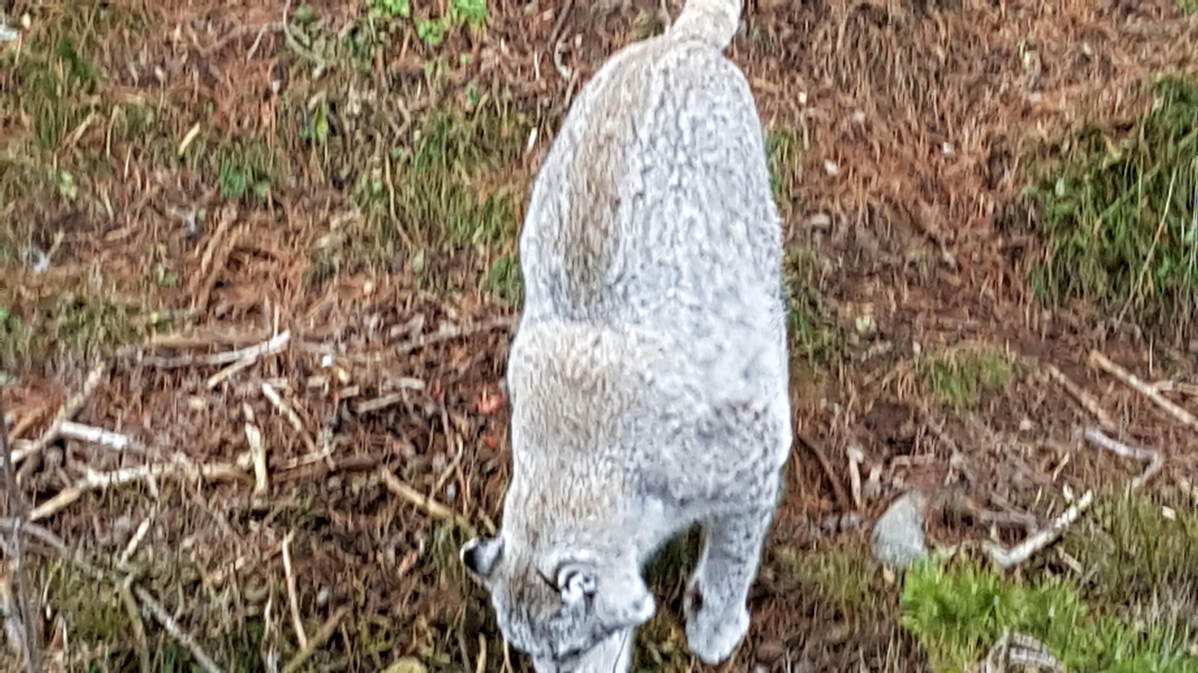 Photo n° 16 de l'avis de Nikolay.H fait le 26/12/2018 à 23:51