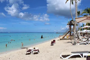 Public Beach Playa Dominicus image