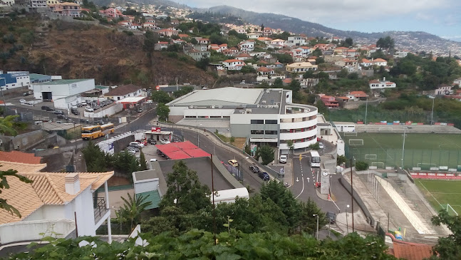 R. Campo do Marítimo 77, Funchal, Portugal