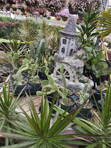 Plant Nursery «Blooming Acres», reviews and photos, 7561 State Rd, Wadsworth, OH 44281, USA