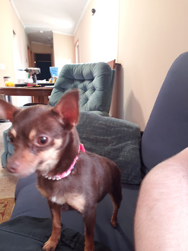 Pet Supply Store «Pet Supplies Plus», reviews and photos, 2912 Council Tree Ave #100, Fort Collins, CO 80525, USA