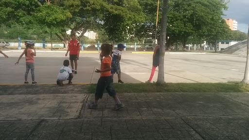 Instituto Regional del Deporte de Aragua