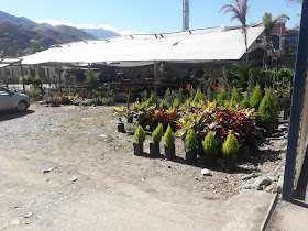 Jardin Vivero EL PICAFLOR