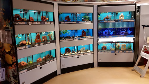 Pet Supply Store «Petco Animal Supplies», reviews and photos, 7721 Mentor Ave, Mentor, OH 44060, USA