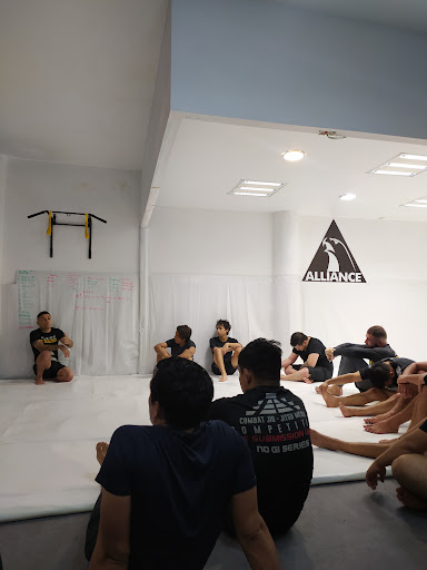 Alliance jiu jitsu guadalajara