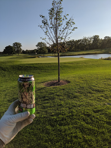 Golf Club «Arlington Lakes Golf Club (ALGC)», reviews and photos, 1211 New Wilke Rd, Arlington Heights, IL 60005, USA