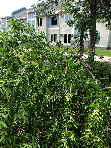 Hardware Store «Hardware Hank», reviews and photos, 1017 Central Ave NW, East Grand Forks, MN 56721, USA