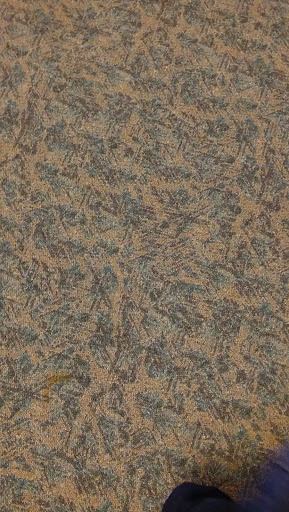 Museum «Harry C Barnes Memorial Nature Center», reviews and photos, 175 Shrub Rd, Bristol, CT 06010, USA