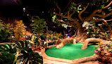 Treetop Adventure Golf