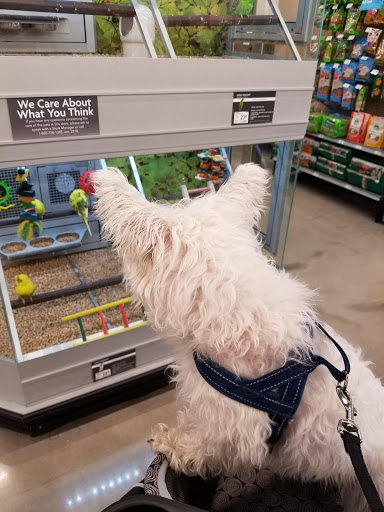 Department Store «Bealls Store», reviews and photos, 3659 Wedgewood Ln, The Villages, FL 32162, USA