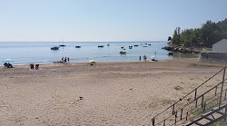 Praia da Rasca'in fotoğrafı imkanlar alanı