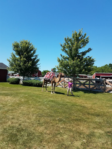 Social Services Organization «Lambs Farm», reviews and photos, 14245 W Rockland Rd, Libertyville, IL 60048, USA