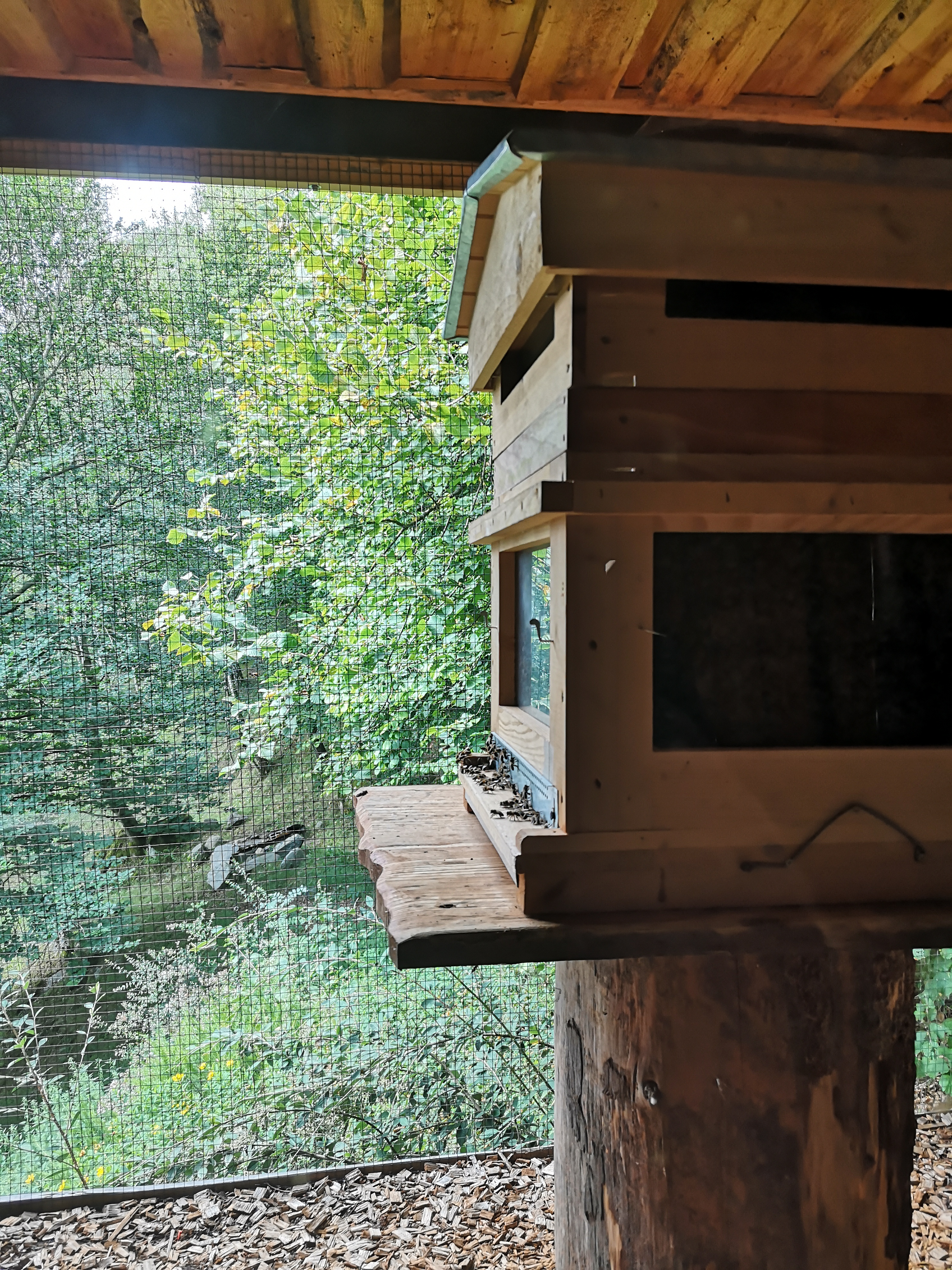 Photo n° 30 de l'avis de Xxx.x fait le 14/08/2020 à 21:01