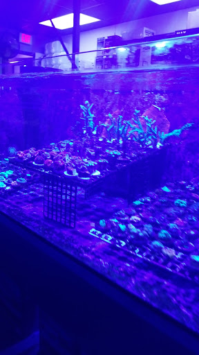 Tropical Fish Store «Aquatic Obsessions», reviews and photos, 1150 St George Ave, Avenel, NJ 07001, USA