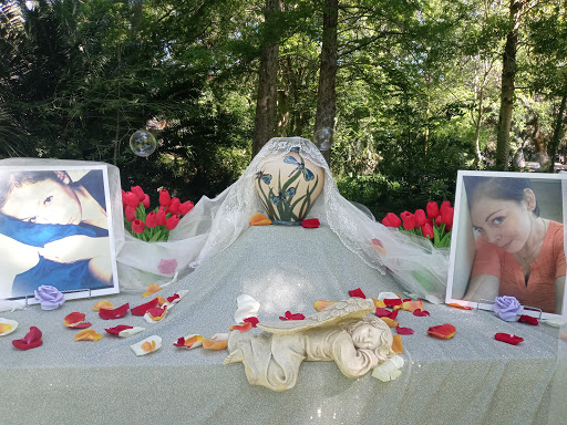 Park «Lowry Park», reviews and photos, 7525 North Blvd, Tampa, FL 33604, USA