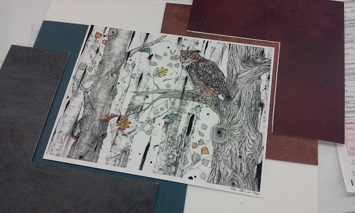 Craft Store «Hobby Lobby», reviews and photos, 815 Brandilynn Blvd, Cedar Falls, IA 50613, USA