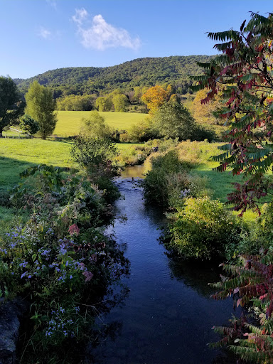 Eupepsia Wellness Center