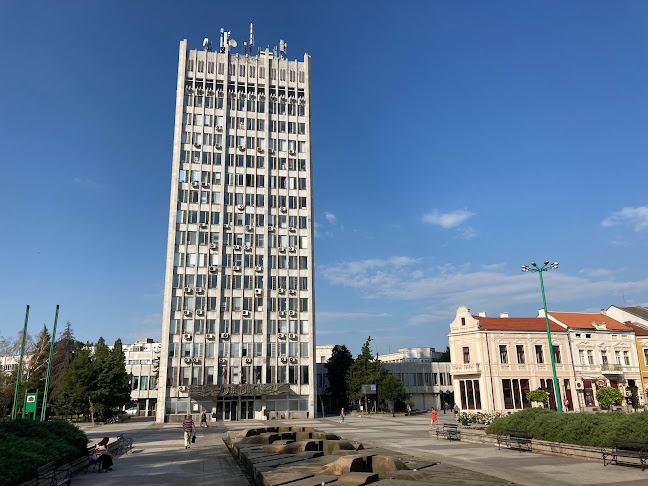 Община Видин