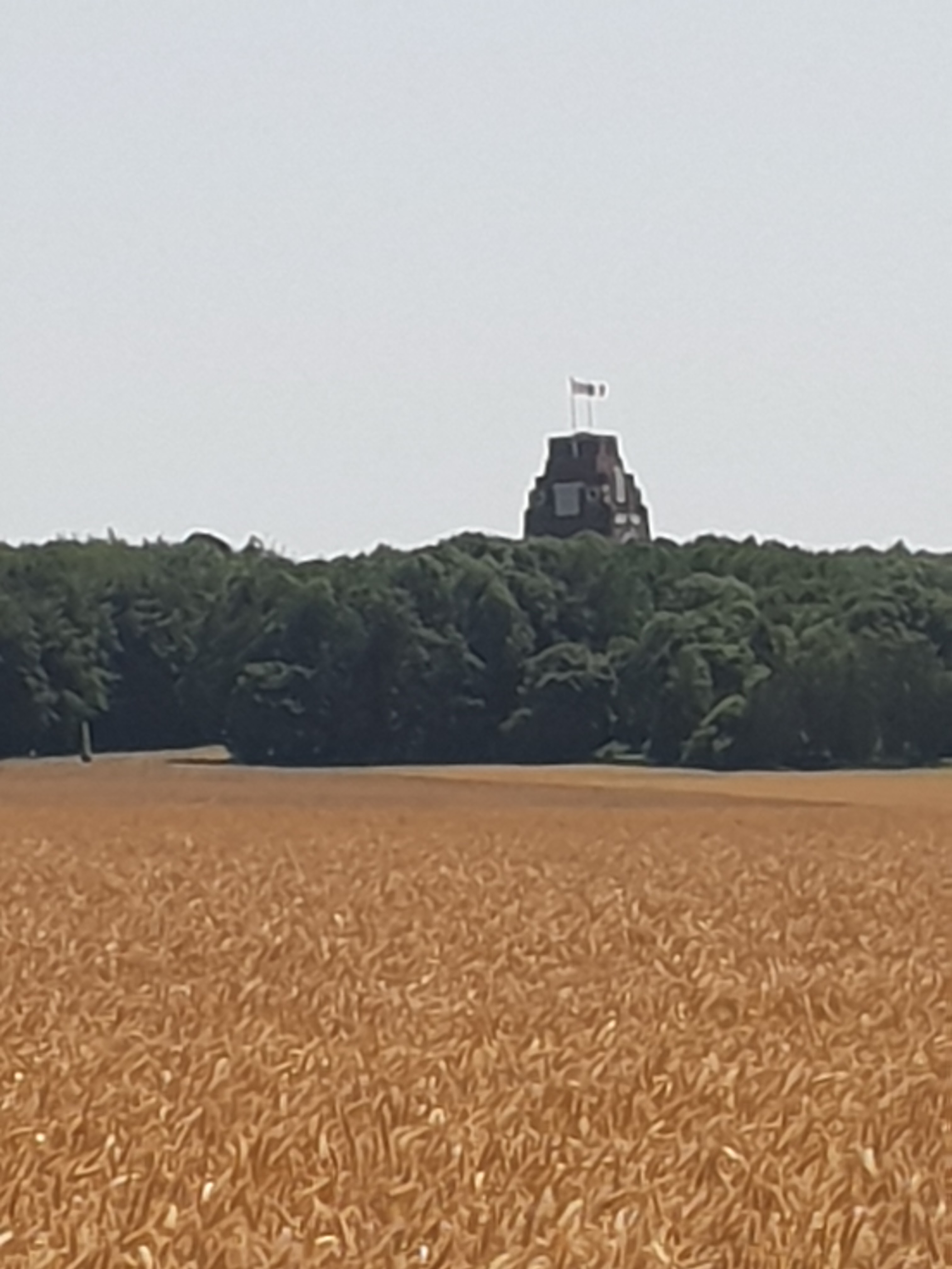 Photo n° 7 de l'avis de Stuart.u fait le 05/07/2018 à 06:52