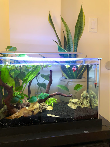 Aquarium «Pacific Aquarium & Plant Inc», reviews and photos, 46 Delancey St #1, New York, NY 10002, USA