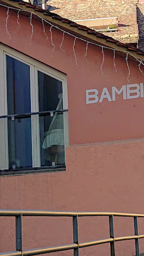 Rezensionen über BAMBI Kinderfachgeschäft in Schaffhausen - Geschäft