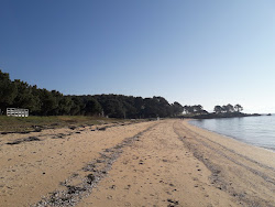 Photo de Retorta beach et le règlement