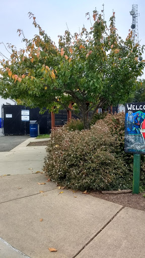 Boat Ramp «Bladensburg Waterfront Park», reviews and photos, 4601 Annapolis Rd, Bladensburg, MD 20710, USA