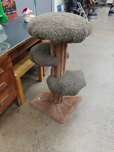 Thrift Store «Goodwill», reviews and photos, 6400 8th Ave NW, Seattle, WA 98107, USA