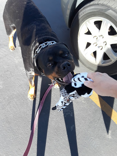 Animal Feed Store «IFA Country Stores», reviews and photos, 1071 Pioneer Rd, Draper, UT 84020, USA