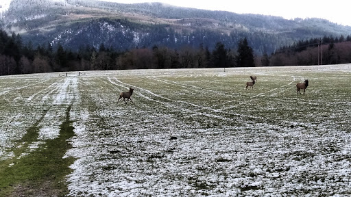 Event Planner «Heritage Park Event & Retreat Center», reviews and photos, 7982 Lewis River Rd, Ariel, WA 98603, USA