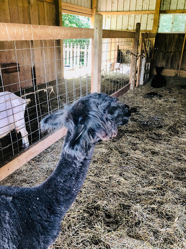 Water Park «Pine Lake Waterpark», reviews and photos, 4640 W State Road 218, Berne, IN 46711, USA