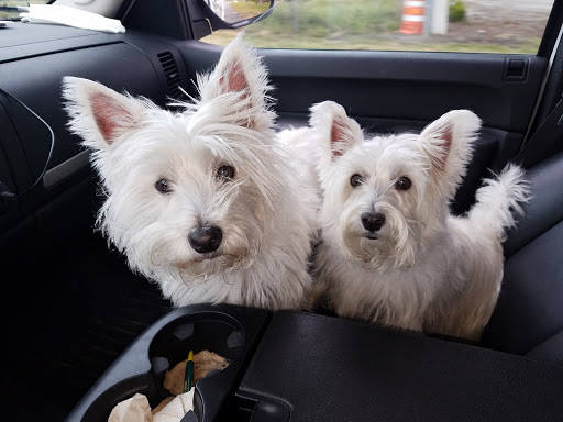 Hair Salon «For Your Eyes Only Hair Salon & Spa», reviews and photos, 12107 San Jose Blvd, Jacksonville, FL 32223, USA