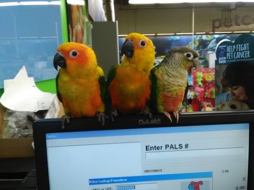 Pet Supply Store «Petco Animal Supplies», reviews and photos, 264 Dillon Ridge Way, Dillon, CO 80435, USA