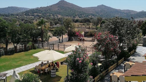 Countryranch Atlı Spor Kulübü - At Çiftliği - At Safari - Ponny Binişi